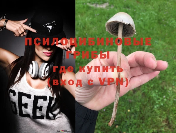 хмурый Алексин