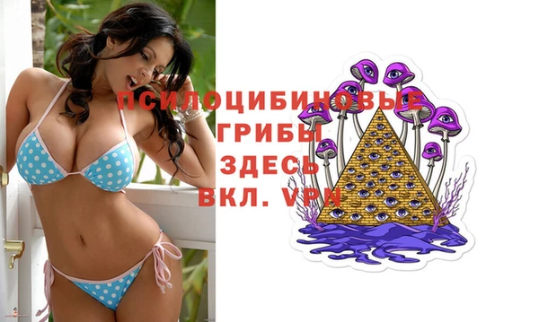 spice Алексеевка