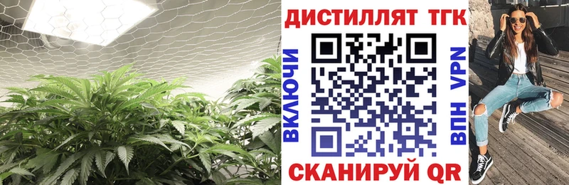 ТГК концентрат Устюжна